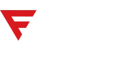 partners who work with GetMega